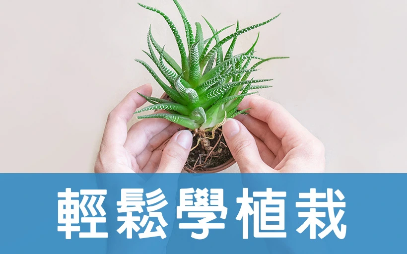 輕鬆學植栽