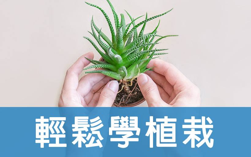 輕鬆學植栽