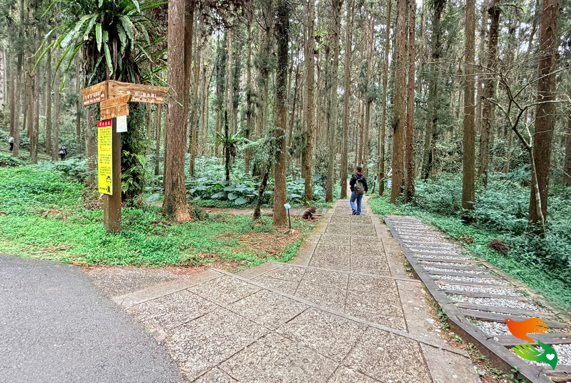 柏油路林道 (左)、步道(中)、木屑步道(右)，可依身體狀況，選擇適合的方式。