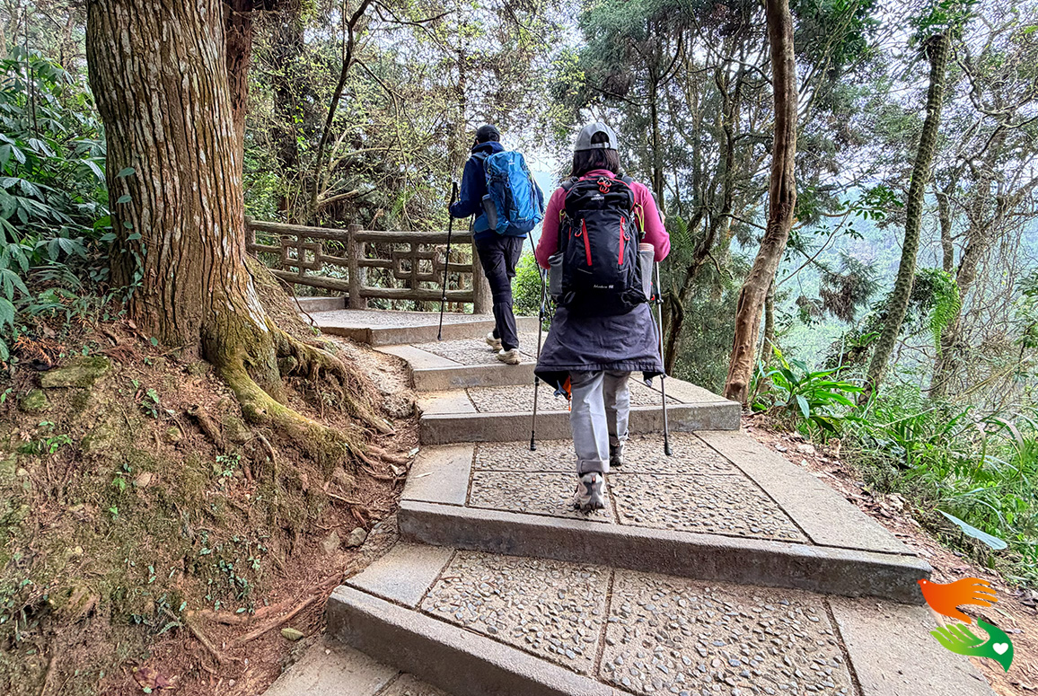 善用登山杖能保護膝蓋，讓山林健行更輕鬆、更安全。