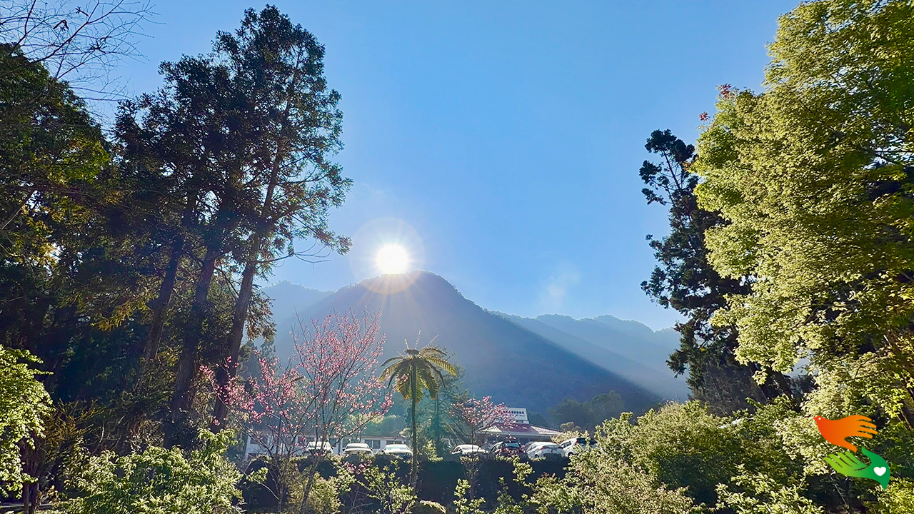 溪頭三日遊 (下) 巧遇曙光乍現的山中歲月