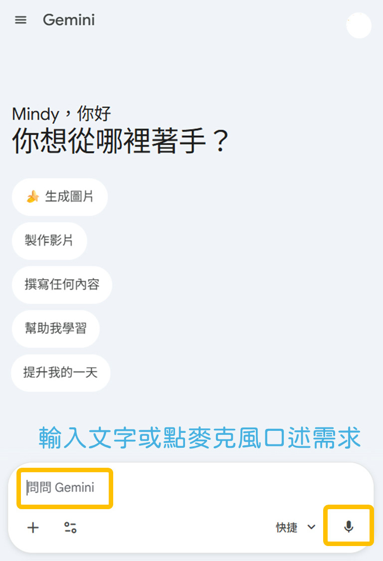 Gemini 操作介面
