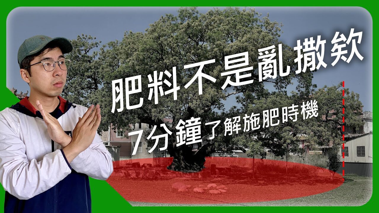 什麼時候該施肥？肥料施哪？花7分鐘了解一下