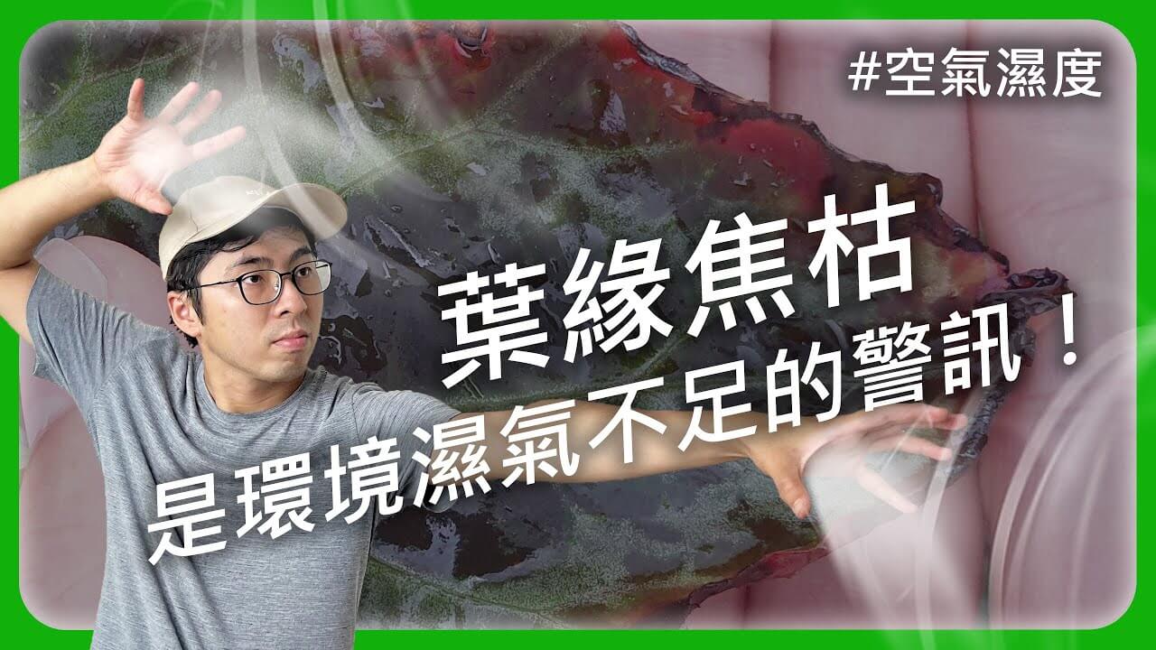濕氣沒有70%就太乾了？5招解決空氣濕度不足問題