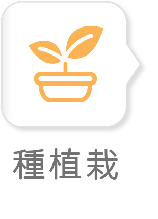 推薦圖片