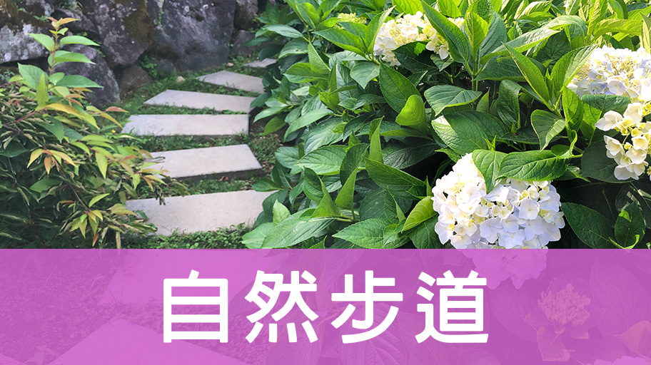 自然步道