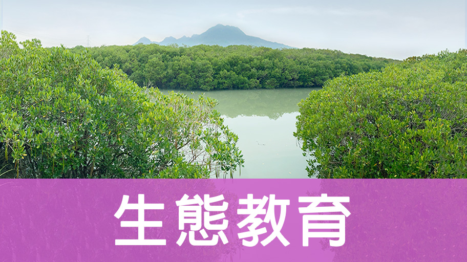 生態教育