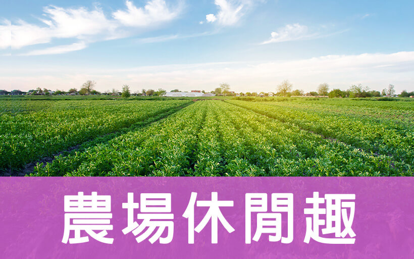 農場休閒趣