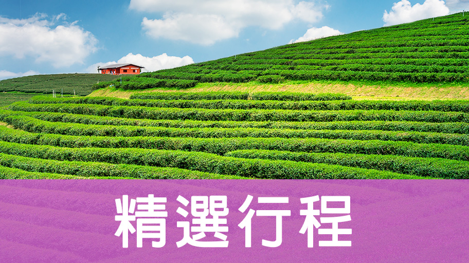 精選行程