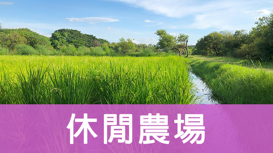 休閒農場